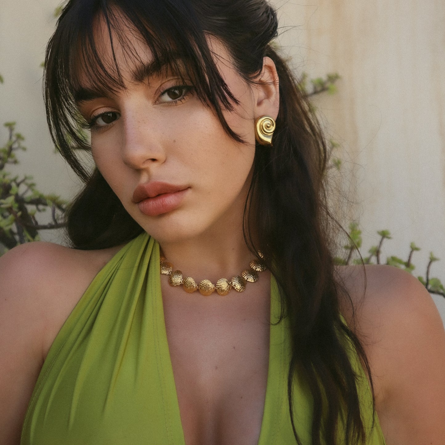 Shellina Choker Necklace
